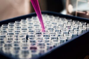 Recherche medicale cellules rajeunissement laboratoire